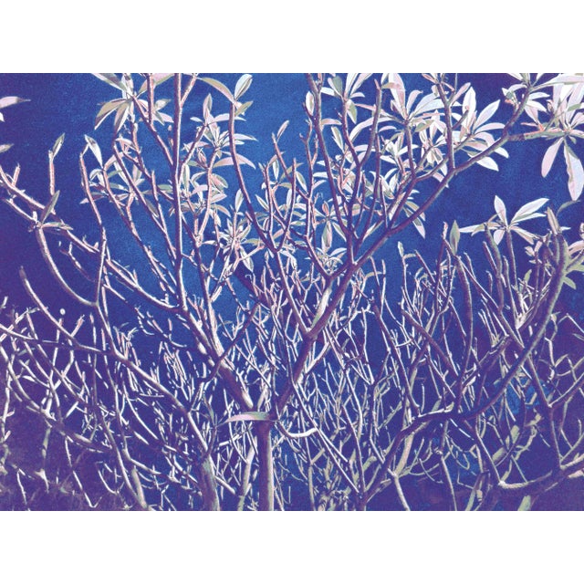 Sumit Mehndiratta, Too Many Piercings, India, 2021, Archival Pigment Ink Print on Canvas For Sale - Image 4 of 4