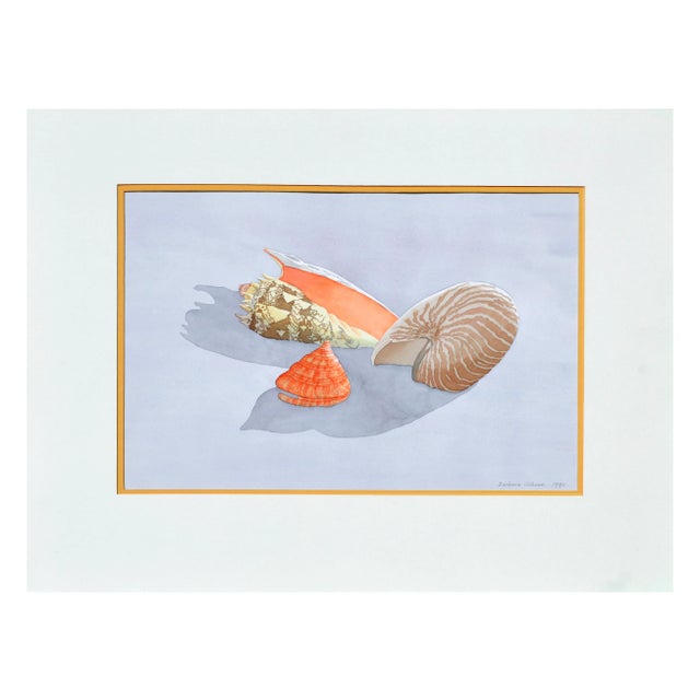 1990s Seashell Still Life by Barbara Gibson For Sale - Image 5 of 5