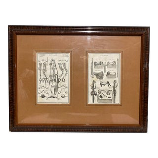 French Equestrian Engravings, Classical Dressage Horse, Early 18th Century, Framed For Sale