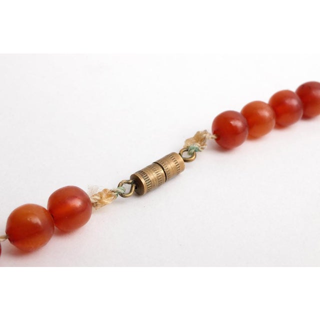 Vintage Amber Necklaces, 1960s, Set of 4 For Sale - Image 16 of 18