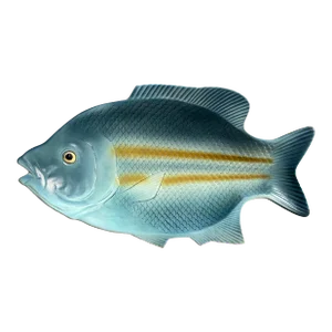 Vintage Fish Decorative Ceramic Platter by Royal Sealy