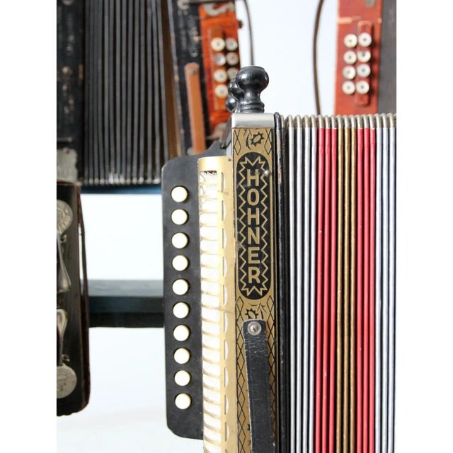 Vintage Accordion Collection - Set of 8 For Sale - Image 11 of 12