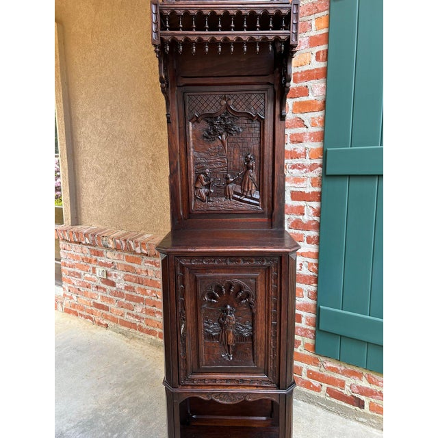 Antique French Breton Hall Cabinet Tall Narrow Carved Crown Bookcase C1880 For Sale In Dallas - Image 6 of 18