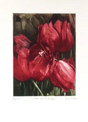 Gatja Helgart Rothe, Some of 48 Tulips, Circa 1990