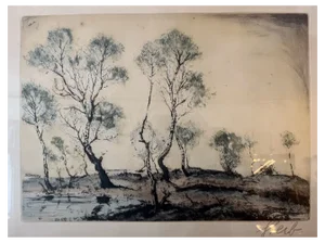 Josef Steib, Birken im Moor, 1928, Etching