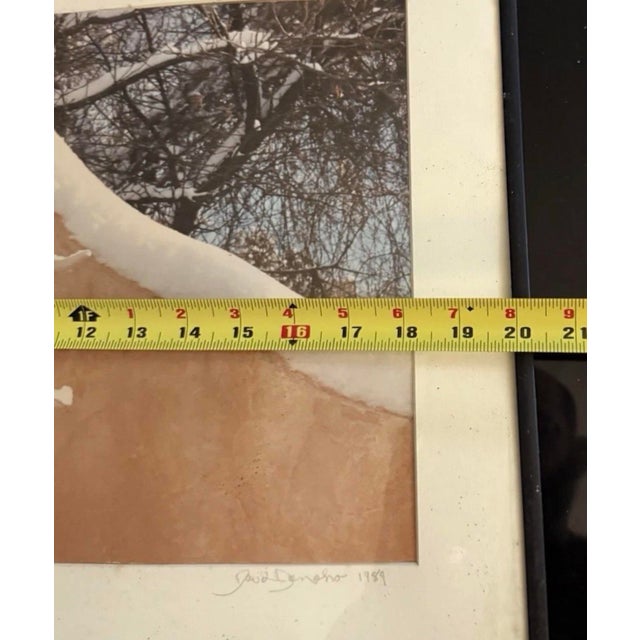 Glass David Dohono Winter in My Patio 1989 Signed Photography Framed Listed Artist For Sale - Image 7 of 7