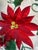 1970s Vintage 20 Th C Linen Tree Skirt With Poinsettia Applique For Sale - Image 5 of 5