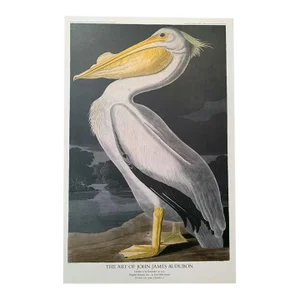 The Art of John James Audubon, Douglas Kenyon Inc., (Continuous Tone (No Dots) Lithographic Poster, 1979