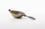 Elegant vintage tea strainer crafted in 800 silver, featuring a pierced bowl, twisted rope-style rim, and ornate...