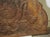 Large 19th Century French Cast Iron Fireback With Rampant Lion and Crown For Sale - Image 10 of 14