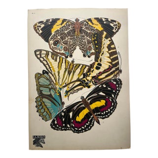 1920s Original E.A. Séguy Butterfly Print(s) From Papillons (No. 5) For Sale
