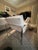Milo Baughman Pair of Chrome Lounge Chairs in White Leather Attributed to Milo Baughman For Sale - Image 4 of 16