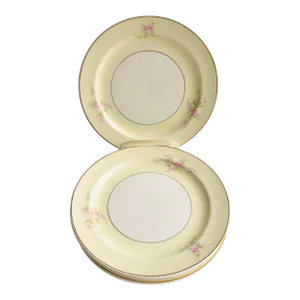 Vintage Cronin China Company Floral Design Plates- Set of 4