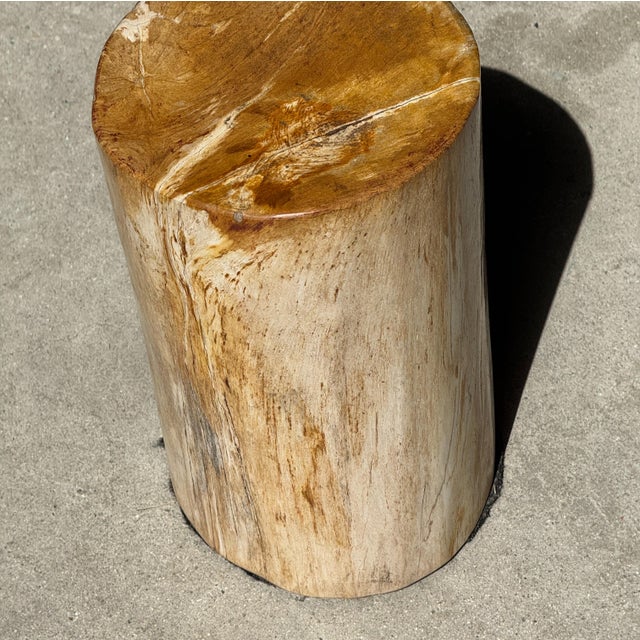 Small Side Table in Orange Petrified Wood, 1980s For Sale - Image 14 of 18