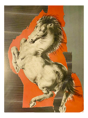 Hans Erni, Horse, 1974, Lithograph