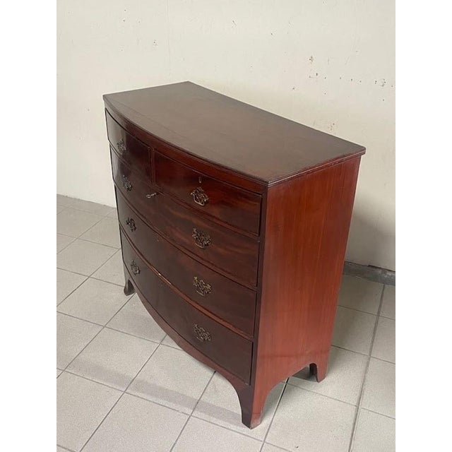 Regency-Style Chest of Drawers, Italy, 1950s For Sale - Image 4 of 15