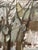 Winter Forest, 1950s, Oil Painting on Canvas, Framed For Sale - Image 6 of 15