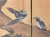 "Ancient Plum Blossoms and Mandarin Ducks" by Yukiga, 1970s Japanese Byobu Screen For Sale - Image 10 of 18