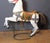 German Artist, Carving Carousel Horse, 1900, Wood For Sale - Image 4 of 17
