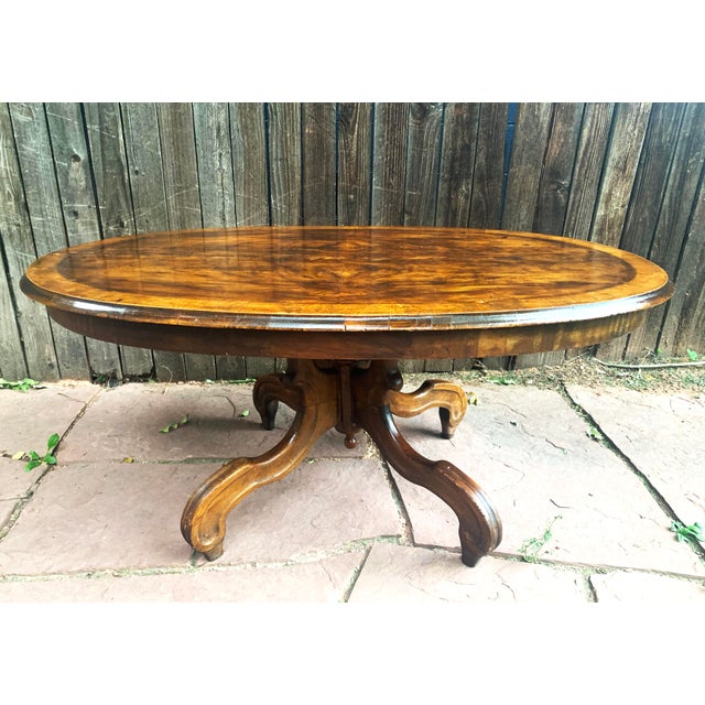 Traditional Oval Burled Walnut Veneer Coffee Table on Pedestal Base