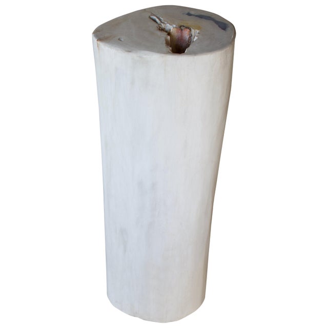 Stunning, white with a dash of black, super smooth, high quality petrified wood side table. A slab of glass or Lucite can...