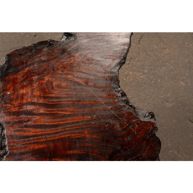 Mid 20th Century Mid 20th Century Live-Edge Burlwood Root Coffee Table For Sale - Image 5 of 9