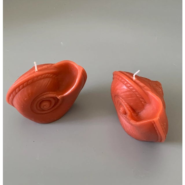 Vintage Tiger Nautilus Shell Shape Candle Point à La Ligne Uncented - a Pair For Sale - Image 4 of 8