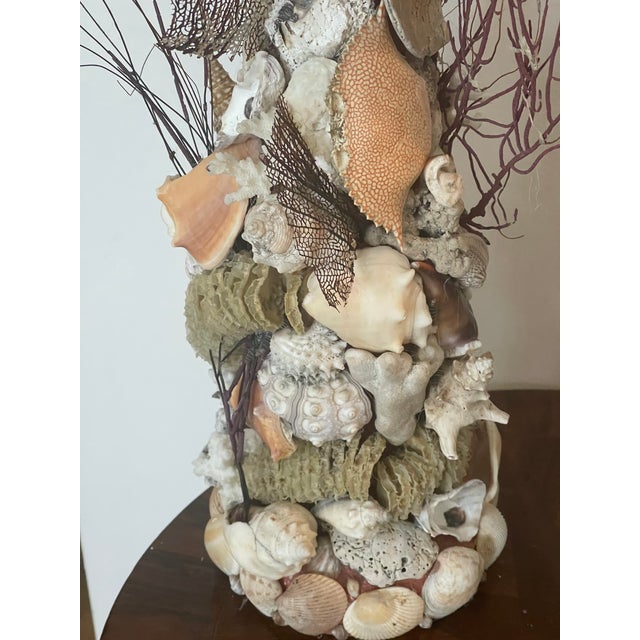 Shell Antique Grotto Sea Shell Candlesticks With Antique Bahamas Conch Shells For Sale - Image 7 of 9