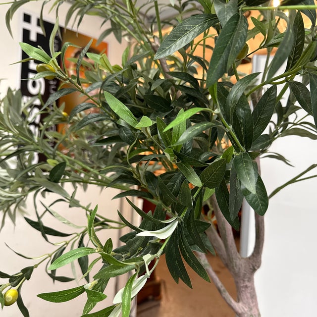 2020s Faux Olive Tree + White Planter For Sale - Image 5 of 12