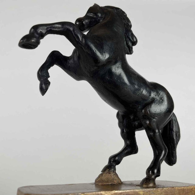 Black Grand Tour Horse Sculptures, Early 1800s, Bronze on Limewood Bases For Sale - Image 8 of 10