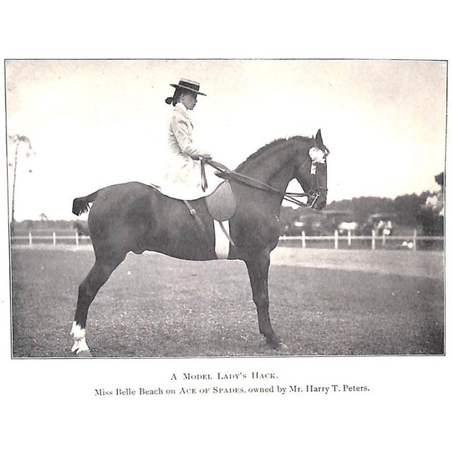 Traditional "Our Noblest Friend the Horse" 1903 Ware, Francis M. For Sale - Image 3 of 10