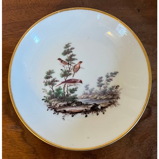Antique 18th century Italian Doccia porcelain coffee cup and saucer, circa 1790. Decorated with birds in a landscape. Cup...