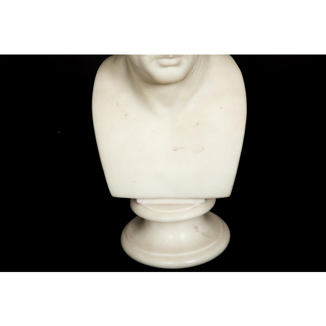 Italian Grand Tour Antique Marble Bust of Marcus Cicero, 19th Century For Sale - Image 9 of 13
