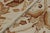 Textile Rug & Kilim’s Tudor Style Rug in White & Cream With Beige-Brown Floral Patterns For Sale - Image 7 of 7