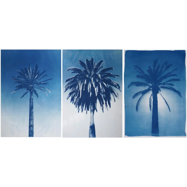 Blue "Desert Palm Trio" Hand Painted Cyanotype Triptych on Watercolor Paper - Set of 3 For Sale - Image 8 of 8
