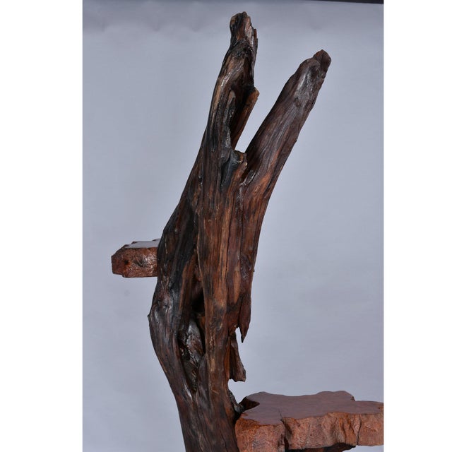 Large Rustic Live Edge Tree Trunk Plant Stand or Art Pedestal For Sale - Image 13 of 13