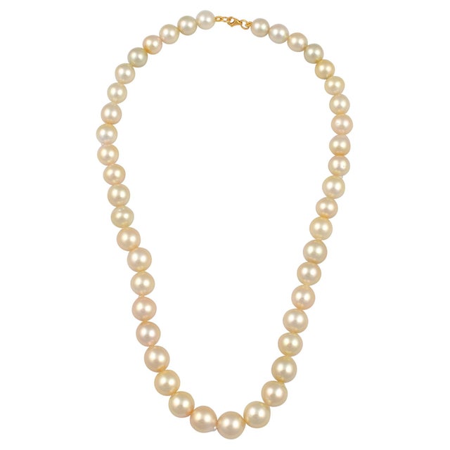 Graduating Cream Color South Sea Pearls Necklace 14 Karat Yellow Gold Clasp For Sale In New York - Image 6 of 18
