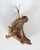 Contemporary Driftwood Abstract Figure Sculpture For Sale - Image 10 of 10