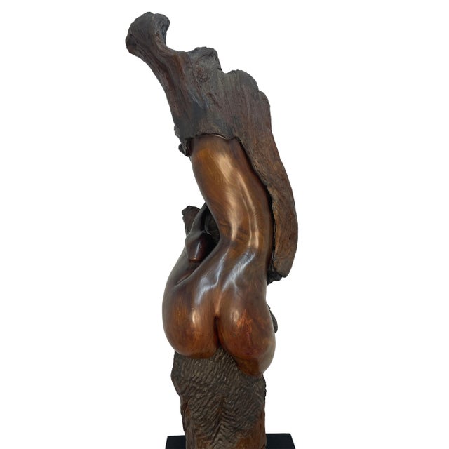 Brown 1980s Monumental Signed Wood Sculpture by Sig De Tonancour, 1984 | Organic Modern Figurative Form For Sale - Image 8 of 13