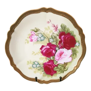 Early 20th Century Royal Austria O & E G Rose Pompadour Plate