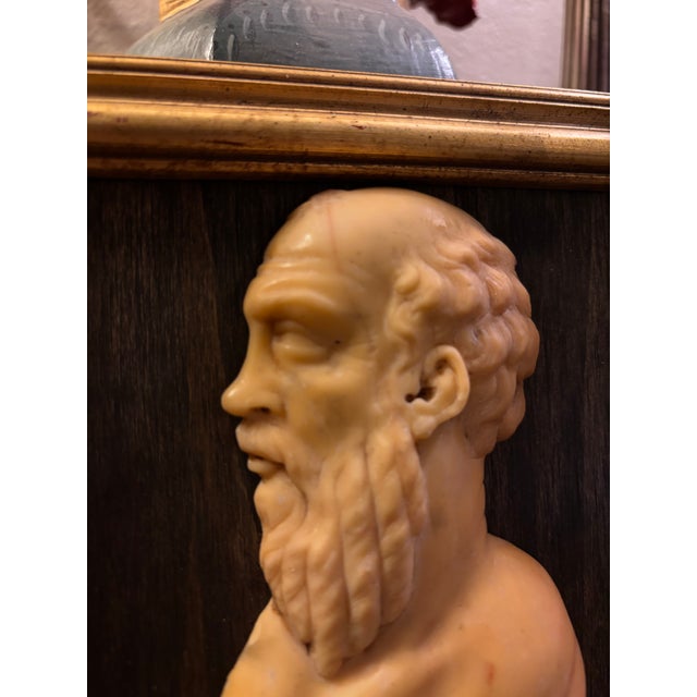 Early 19th Century Italian Grand Tour Siena Marble Relief Portrait of the Ancient Greek Philosopher Socrates For Sale In Palm Springs - Image 6 of 12