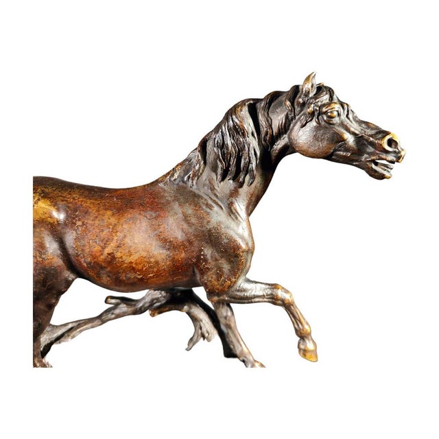 Bronze Horse by Jules Moigniez, 1850s For Sale - Image 3 of 14