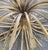 Gold Vintage Hollywood Regency Style Gilt Sheaf of Wheat Round Glass Top Table For Sale - Image 8 of 10
