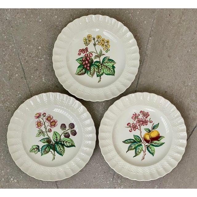 Vintage English Copeland Spode ‘Glendale’ Scalloped Plates in Chelsea Wicker, Botanical Centers With Varied Hand Colored Fruit & Floral- Set of 3 For Sale - Image 9 of 12