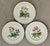Vintage English Copeland Spode ‘Glendale’ Scalloped Plates in Chelsea Wicker, Botanical Centers With Varied Hand Colored Fruit & Floral- Set of 3 For Sale - Image 9 of 12