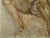 Salvador Dali, L'Ange de Misericorde, Nude, Etching For Sale - Image 5 of 6