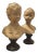 Large French Terra Cotta Bust Boy & Girl Bust Borghese - a Pair For Sale