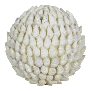 Vintage Decorative Shell Ball Sphere