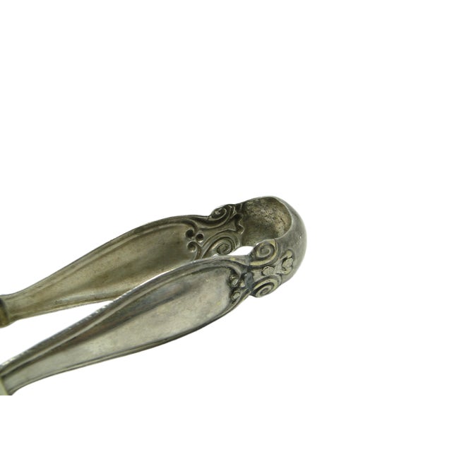 Biedermeier Silver Plated Pinsel from Fraget, Poland, 1850s For Sale - Image 4 of 10