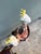 This charming vintage Italian Majolica ceramic cockatoo planter, perched gracefully on a floral tree stump, embodies the...